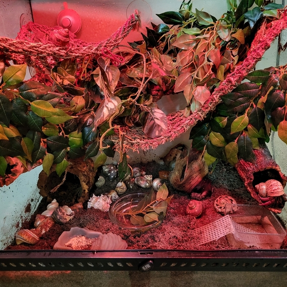 PLSreadBEFOREbuying! - Picture 12 of 15